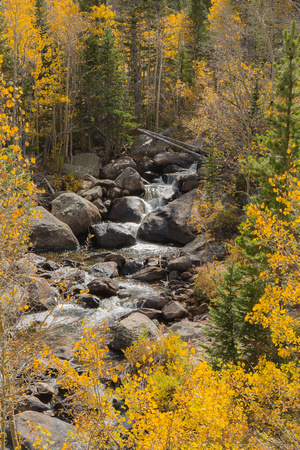 Creek in Fall - RMNP