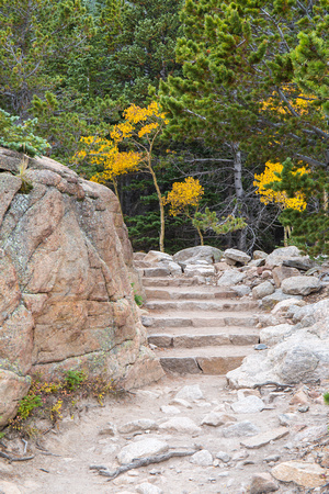 Trail Steps - RMNP