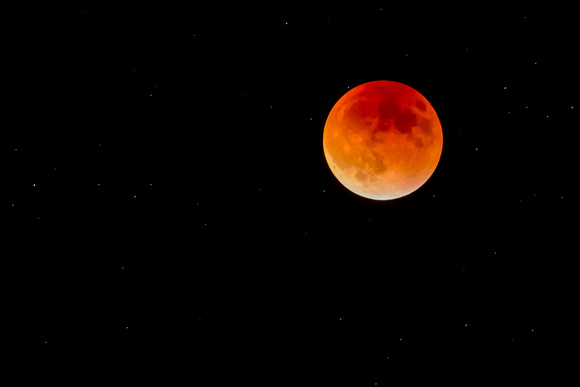 Blood Moon over Fort Collins