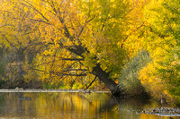 Poudre River - Fort Collins, CO
