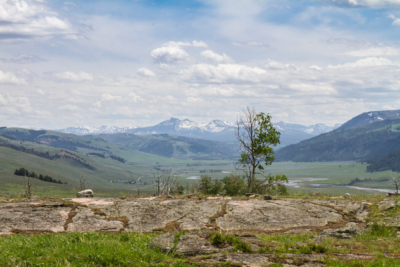 View Above Lamar-Yellowstone